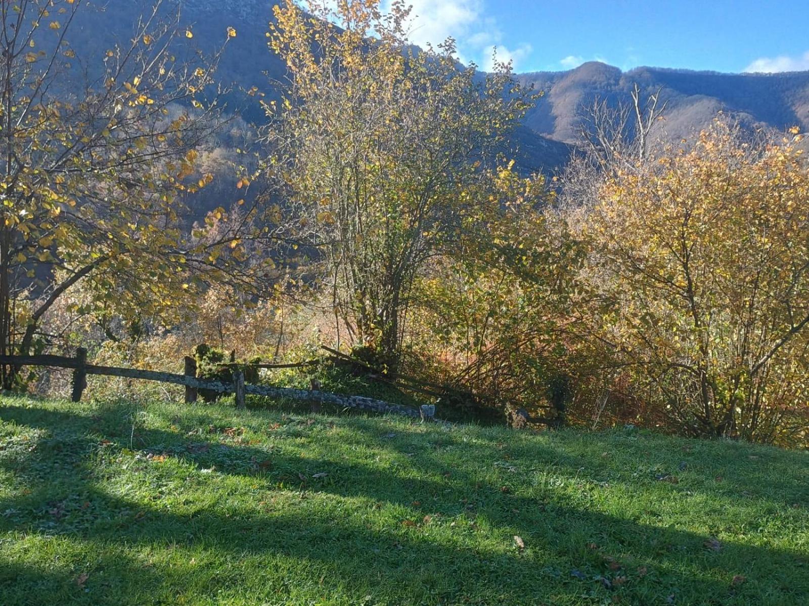 Hotel Rural Reciegos Complejo Agroturistico Caso Luaran gambar